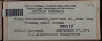 Image Associated With the Occurence